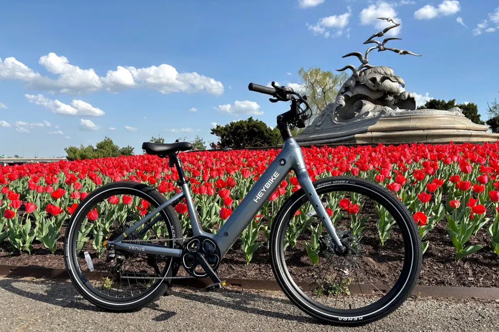 Heybike Venus电动自行车:舒适实用的通勤好伙伴 图片