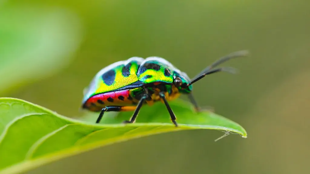 中国雇佣黑客组织Jewelbug:跨国网络间谍与加密货币盗窃 图片