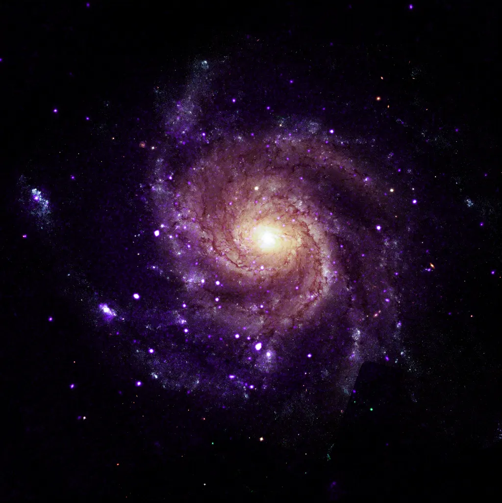 NASA利用钱德拉X射线观测站发现旋涡星系中的神秘天体 图片